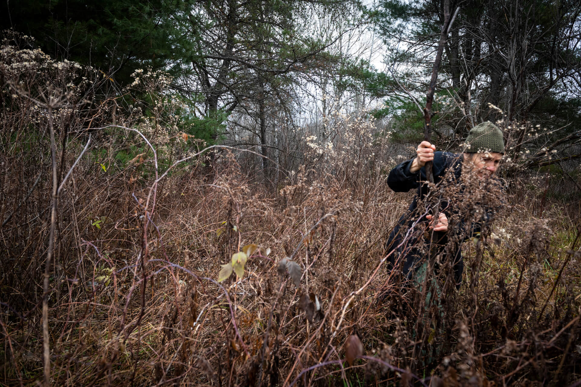 walking through brush with stick