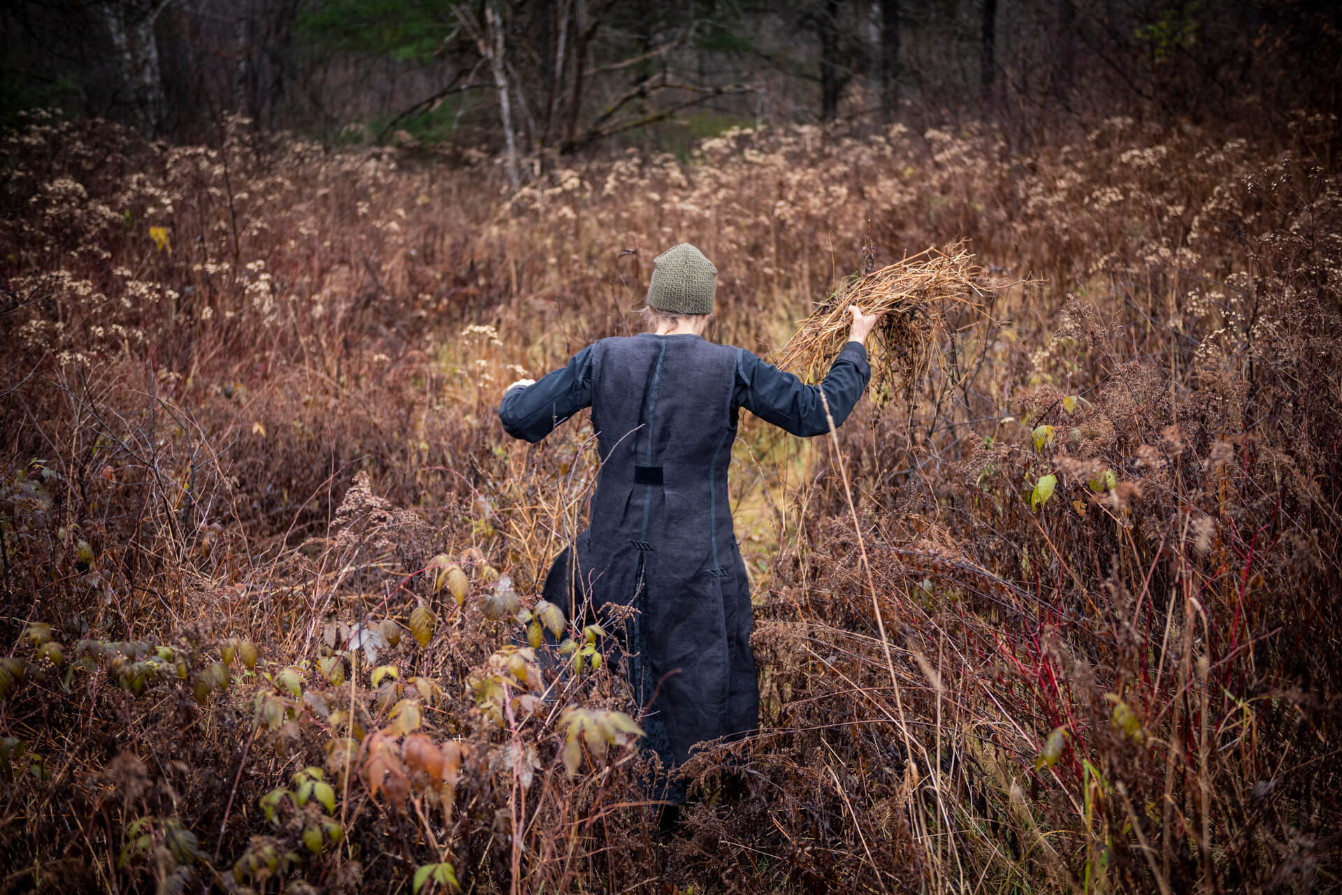 walking through brush